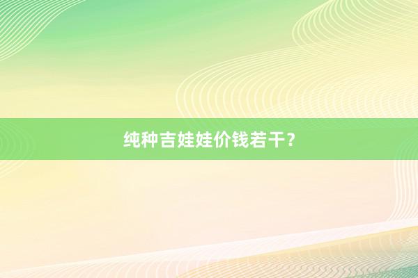 纯种吉娃娃价钱若干？